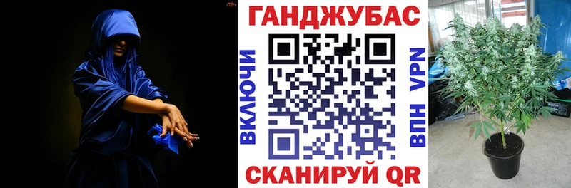 Магазин наркотиков Нерчинск Гашиш  Марихуана  Alpha PVP  Мефедрон 